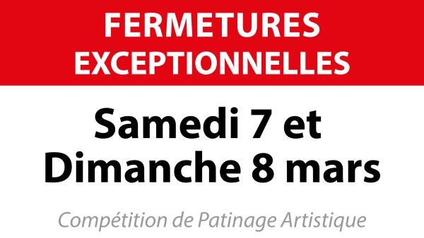 patinoire-orleans_artistique